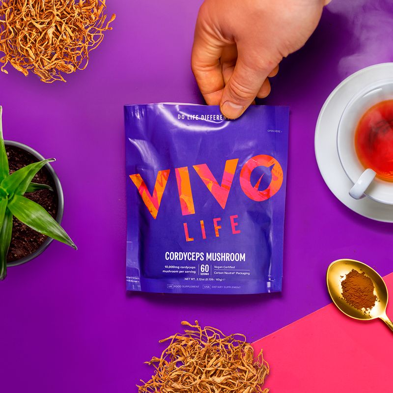 Poudre de champignon Cordyceps sinensis extrait 10:1 Vivolife – énergie naturelle